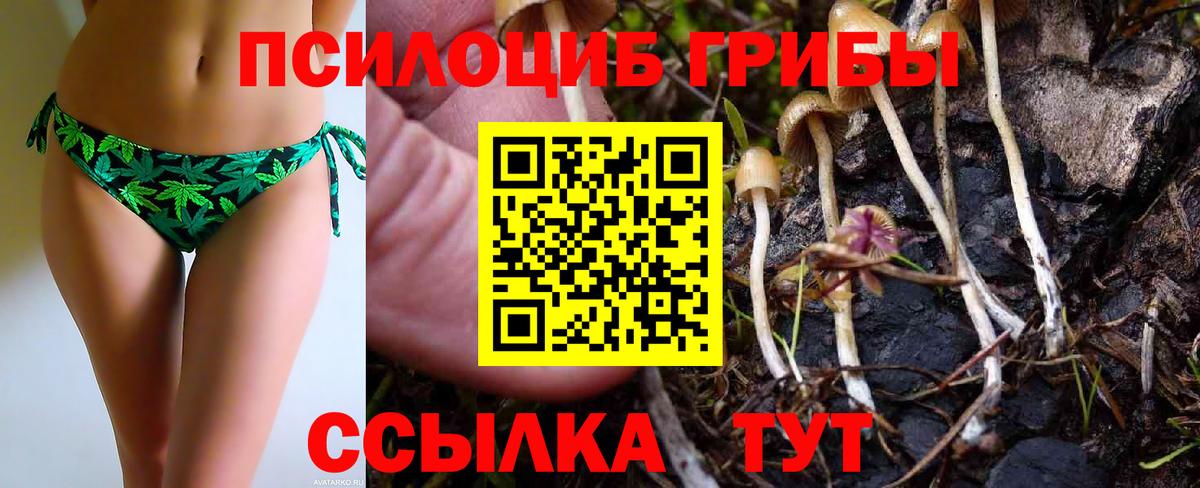 Галлюциногенные грибы Psilocybe Куйбышев